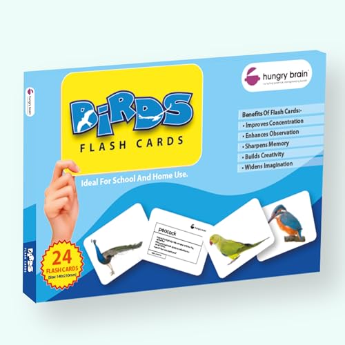 Image of Hungry Brain Flash Cards (Birds)