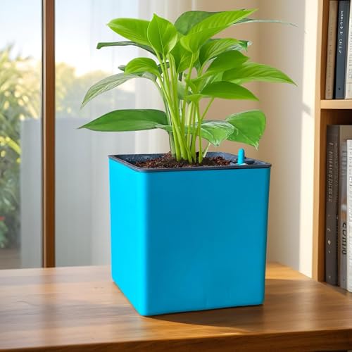 Image of Indian Discovery Self Watering Tabletop Planter| Flower Pots for Home, Terrace, Balcony, Vertical Garden Decor Flower Pots(1 PC, Sea Green, Square) |6 Inch UV-Resistant Plastic Plant Pots