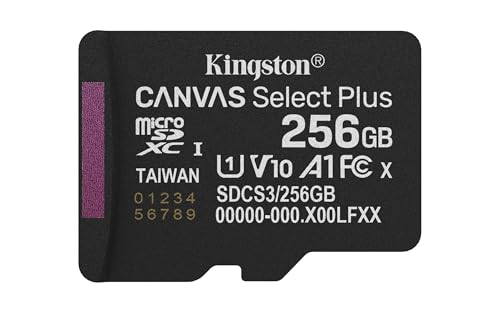 Kingston Canvas Select Plus Tarjeta de Memoria microSD 256GB micSDXC Gen3 150R A1 Adaptador de SD no Incluido - SDCS3/256GBSP