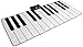 FAO Schwarz Piano Dance Mat