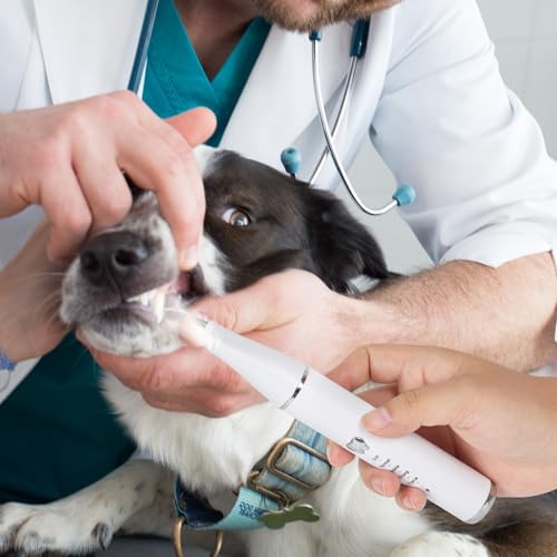 Zahnreinigungsset Ultraschall für Hund, Hundezahnreinigungsset mit LED-Licht, Zahnsteinentferner Ultraschall Zahnreiniger für Haustiere zum Entfernen von Zahnstein & Zahnbelag, 5 Reinigungsmodi