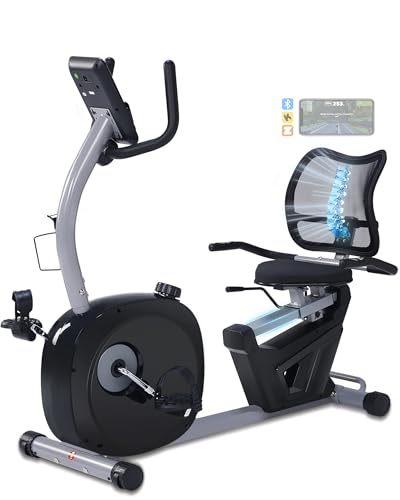 Kawnina Recumbent Exercise Bike