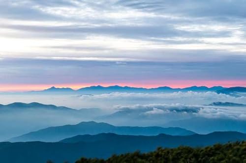 y{̕i|XgJ[hz쌧  ͂4 tHgJ[hyY photo by daikegoro