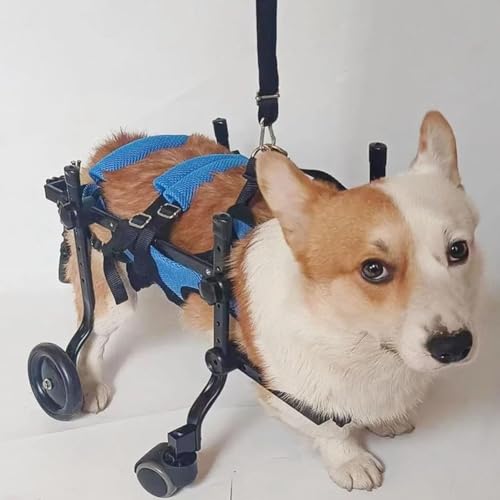 Silla de ruedas para perros de aluminio ajustable con 4 ruedas para soporte completo 7