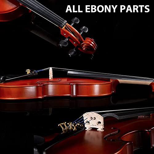 Aileen Premium Beginner Series Violin Outfit - 4/4 Full Size Solid Wood Ebony Fitted For Kids Students, Teachers Approved #TOP4