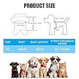 Haustier Rucksack Hunderucksack Verstellbarer Hunde-Tragerrucksack Schwarz Haustier Tragbar Reisetasche Faltbare Atmungsaktiv Katzentasche für Kleine Hunde Welpen Katzen Wandern Reisen Outdoor