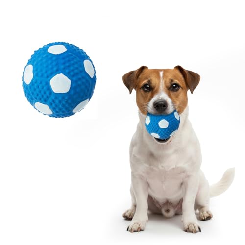 Image of Amazon Basics Durable Soccer Ball Squeaky Dog Toy | Non-Toxic Natural Latex Rubber | Dental Texture | Water Play Friendly | for Small to Large Dogs | 5-30 kg
