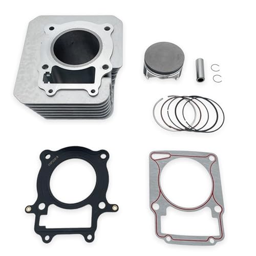 Kit de cilindro PR300 ideal para renovar el bloque de tu motocicleta ZS175FM