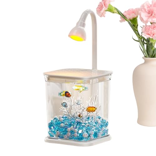 Aquarium Betta compact résolvant le manque d'espace pour animaux - 2