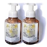 Bath and Body Works Gentle Foaming Hand Soap, Warm Vanilla Sugar 8.75 Ounce (2-Pack), presentation may vary.