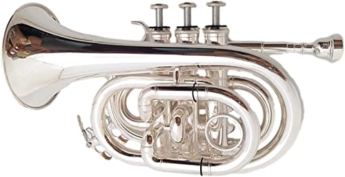 Miniature Trumpet Model, Professional Mini Trumpet Professional Playing Instrument Miniature Trumpet B Flat Pocket Trumpet Nickel Silver Alloy Palm Trumpet Instrument #TOP8