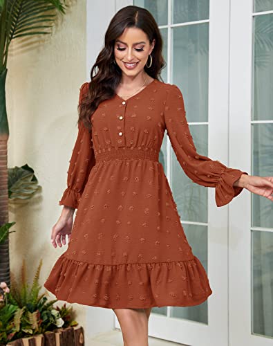 Daisyaner Women's Dresses 2023 Summer Casual Dress Long Sleeve V Neck Swiss Dot Dress Smocked Short Beach Dresses Caramel M #TOP2