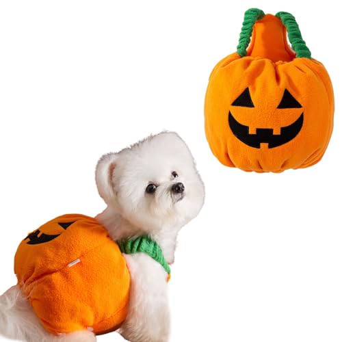 Disfraz de Calabaza para Perro Talla L Halloween