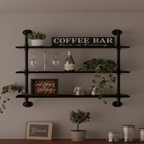 HDDFER Industrial Pipe Shelf Shelving Bookcase, Wall Mounted Rustic Bookshelf,