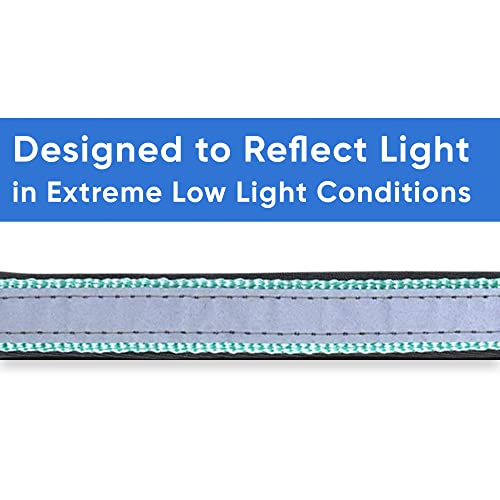 Pawtitas Lumberjack Padded Martingale Collar For Dogs | Soft Neoprene Dog Collar For Your Pet's Comfort Made With Reflective Band For Maximum Visibility | Fits Small And Large Pets - Medium Teal #TOP3