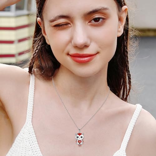 Owl Necklace Jewelry Gifts for Women Sterling Silver Birthstone Owl Pendant Necklace Christmas Jewelry for Women2