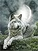 Produktbild CaptainCrafts Malen nach Zahlen Erwachsene, DIY Ölmalerei Malen nach Zahlen Enthält Leinwand Pinsel und Pigmente Warme Geschenke Haus Dekor 16X20'' (Rahmenlos, Wolf unter dem Mond)
