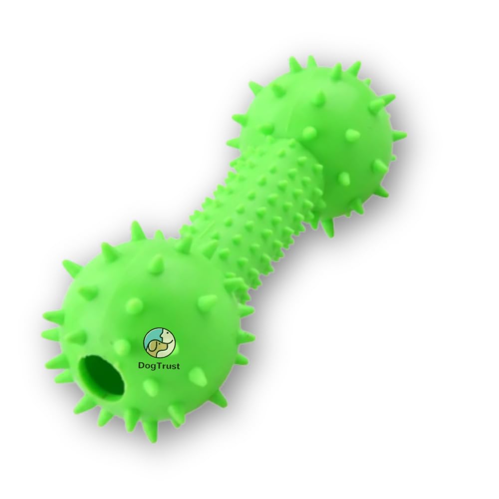Dog Trust Pet Spiked 1pc Dumbbell Shaped Random Color Pet Chew Toy (Green) Suitable for Small to Medium Breeds (B0CH9S9GP3) Amazon Price History, Amazon Price Tracker