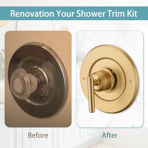 Replacement for Moen Gibson Posi-Temp Pressure-Balancing Valve Only Shower Faucet Trim Kit (Valve& Catridge Not Inclued), Volume and Temperature Control Level Handle (Brushed Gold)