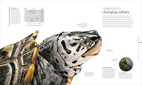 The Science of the Ocean: The Secrets of the Seas Revealed (DK Secret World Encyclopedias)