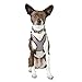 Reddy Grey Cotton Canvas Dog Harness, X-Small