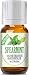 Spearmint 100% Pure, Best Therapeutic Grade Essential Oil - 10ml
