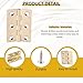 Solid Brass Butt Hinges Cabinet Door Hinges with Screws Heavy Duty Bifold Hinge for Jewelry Box, Furniture, Cupboard, Wood Crafts & Toolbox Golden Polishing Mini Folding Hinge (2 inch)