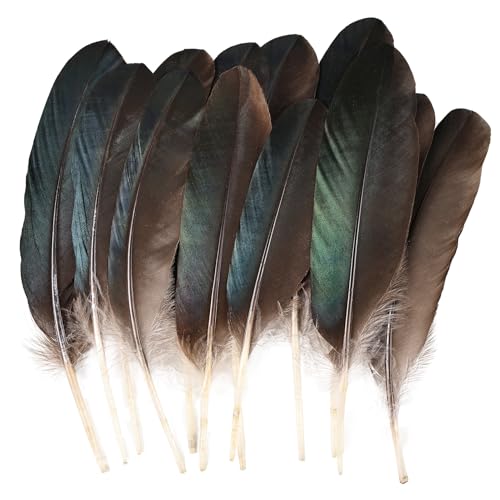MehelloFeather Pheasant Feathers 12 PCS Natural Feathers 8-10 Inch for DIY Crafts Hat Floral Arrangements Wing Quill Wedding Home Party Decorations
