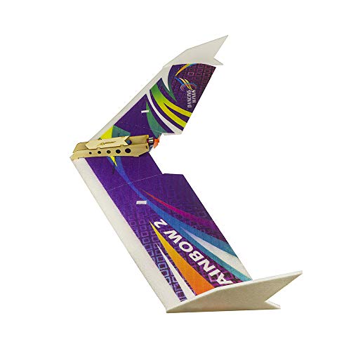 Avión RC de entrenamiento Rainbow Flying Wing II de 1000 mm para tardes de vuelo 6