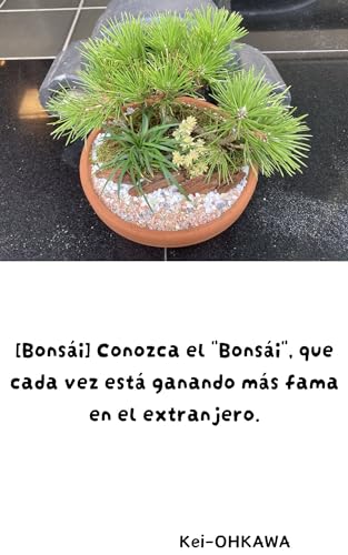[Bonsái] Conozca el Bonsái, que cada vez está ganando más fama en el extranjero.