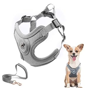 SAEGYPET Dog Harness with Leash Set, No Pull Adjustable Step in with Breathable Padded Puppy Harness for Small Medium Large Dogs Walking and Running (Gray, XS)