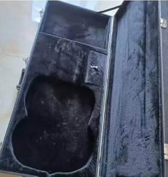 【美品・希少】mavis ダブルネックギター 専用ハードケース付 美品・希少】mavis ダブルネックギター 専用ハードケース付