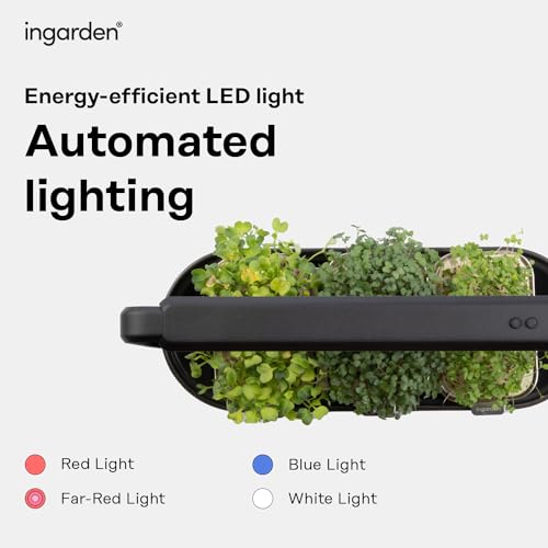 ingarden Kit de Cultivo de Microgreens - Almofadas de Sementes Germinadas de Superalimento Orgânico(