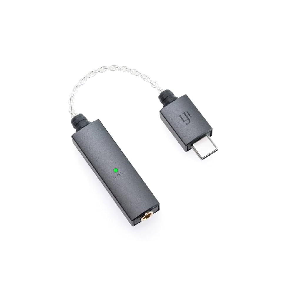 Amazon.co.jp: iFi audio GO link スティック型USB-DACアンプ