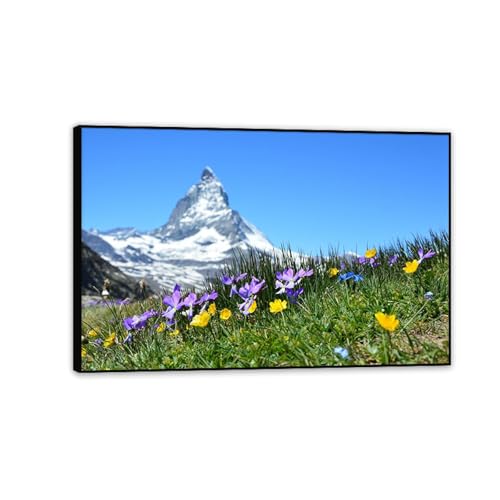Impression sur toile nature de paysage naturel de prairie de fleurs moderne salon 30x20cm
