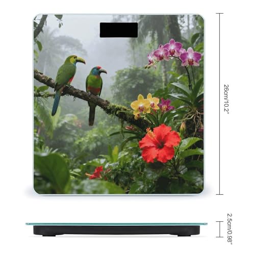 Báscula Digital de Baño Precisa y Estable con Pantalla LCD miniatura 2