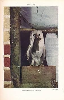 Hardcover Birds And Men. New Naturalist No. 17 Book