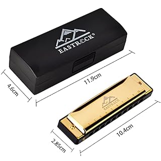 EastRock Harmonica 10 trous, 20 mélodies Blues en Do pour débutants, adultes, enfants, cadeau avec étui et chiffon de… - Les Beatles, Paul McCartney, John Lennon, RIngo Starr, George Harrison EastRock Harmonica 10 trous, 20 mélodies Blues en Do pour débutants, adultes, enfants, cadeau avec étui et chiffon de… – Image 4