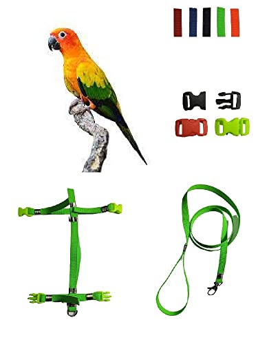 Arnés para conuro del sol ajustable de 10 mm para loros y aves pequeñas 7