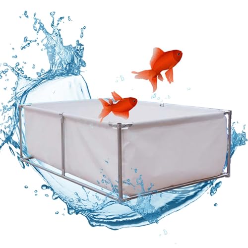 Solution de rétention d'eau portable pour éviter le stress des poissons - 2
