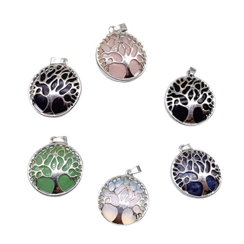 [MOKKHNB] 6 VRNX^r[Y؃`[lbNXANZT[a̓ p