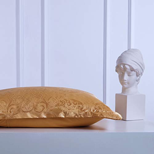 Raytrue-X Satin Pillow Shams, 2 Pack Jacquard And Luxury Pillow Cases, Soft Microfiber Bedding Collection, Standard Size (Gold, Standard 20X26 Inches) #TOP4