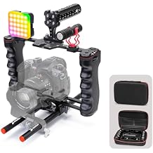 Zeadio All-in-One Video Rig Kit, Aluminum Handheld Camera Cage with RGB Video Light, Microphone, Top Handle,15mm Rod Guide, Extension Rods & Carrying Case for Filmmaking Vlogging Recording etc
