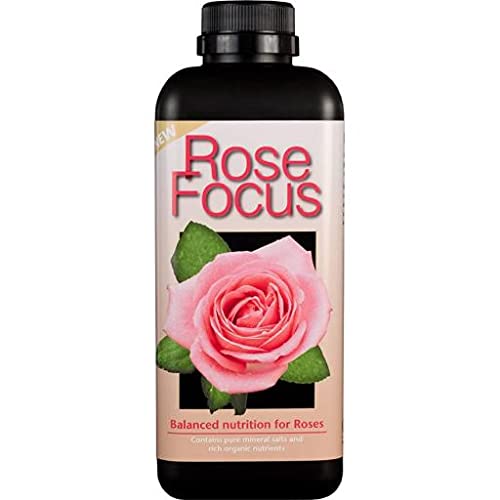 GT - Focus Range - House Plant, Rose, Geranium, Camellia & African Violet (Rose Focus - 1L)