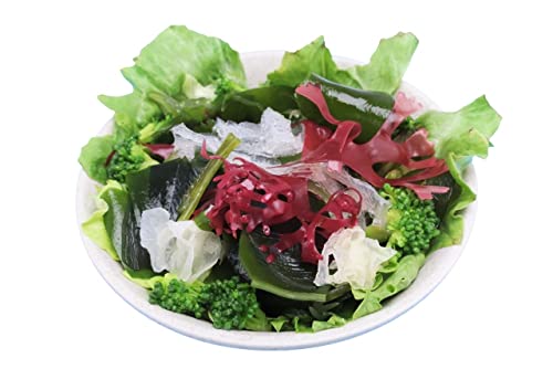 Product Of Japan,Dried Seaweed, Cut Wakame(Net Wt 3.5 Oz), Resealable, Gold Grade, Bankon Co.,Ltd. #TOP4