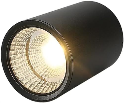 Spot LED extérieur plafonnier étanche downlight COB balcon toilette