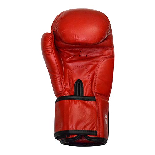 Image of RXN Training Sparring Gloves Amateur (RED-10oz)