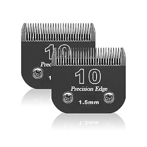 Bestbomg Max45 Größe 10 Ersatzklingen Schwarz 2er-Pack