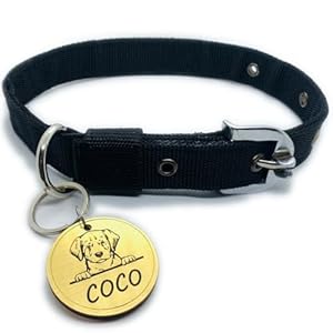 PAWPRO HANDMADE Nylon Personalized Black Dog Collar Belt With Customizable Dog Name Tag 30Cm -50Cm Soft Comfy Pet Collar For Small Medium Large Dogs(Size; S)