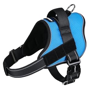 rabbitgoo Dog Harness Medium Sized, Easy On Pet Vest with One Buckle, No Pull Adjustable Service Harness with D-Ring & Handle, Reflective for Safety Walking, Training, Blue, M
